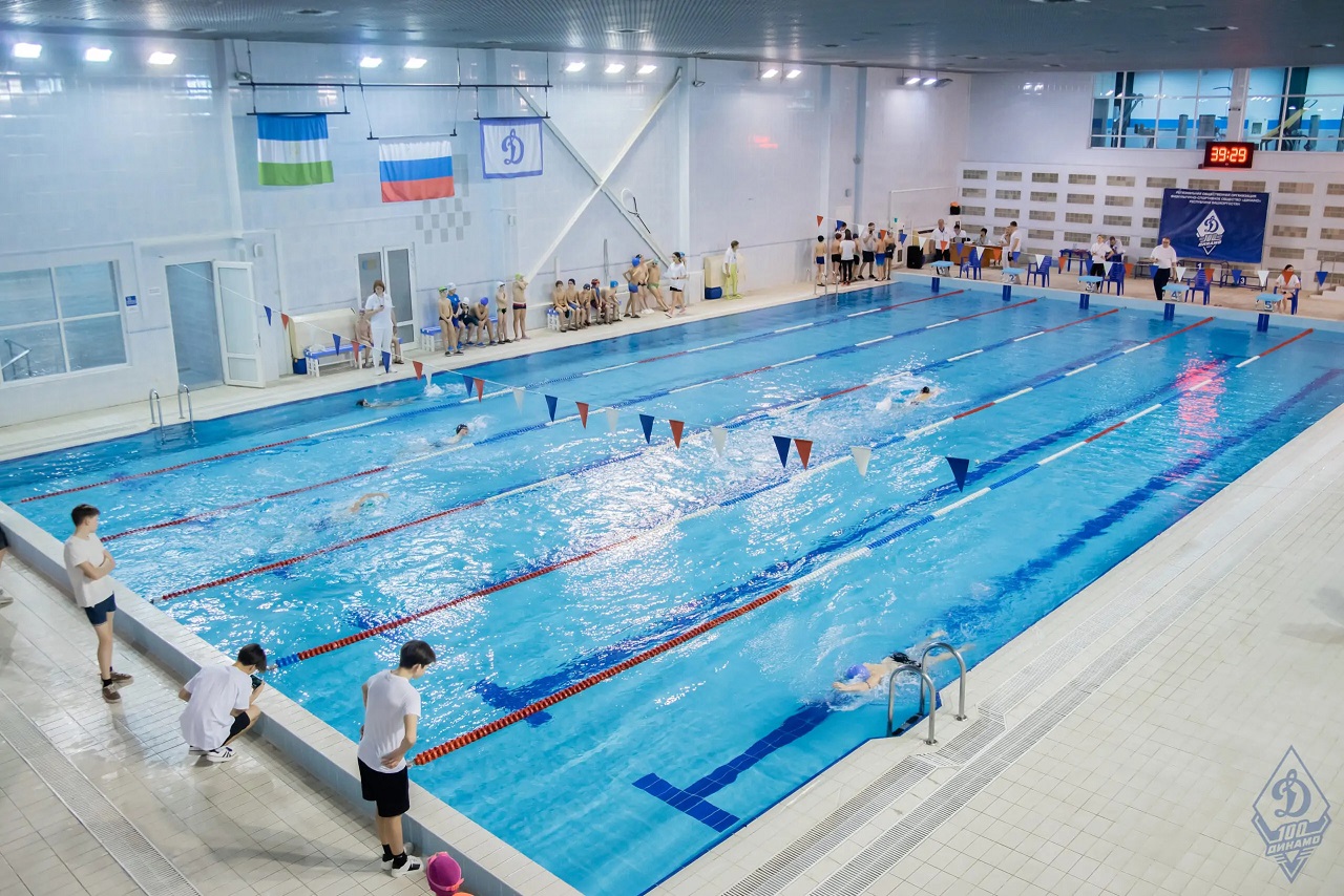 «Динамо»