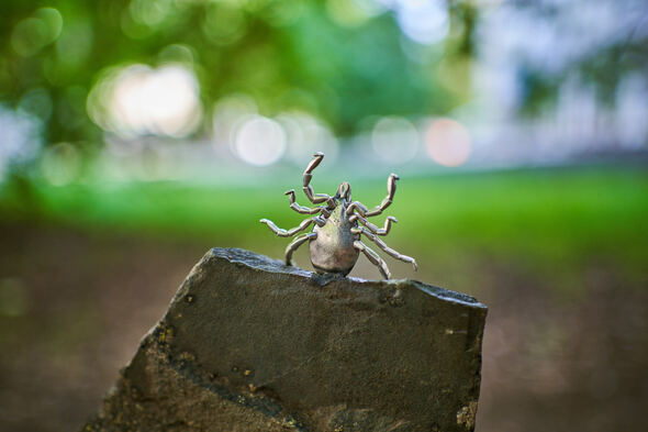 Клещ Валера